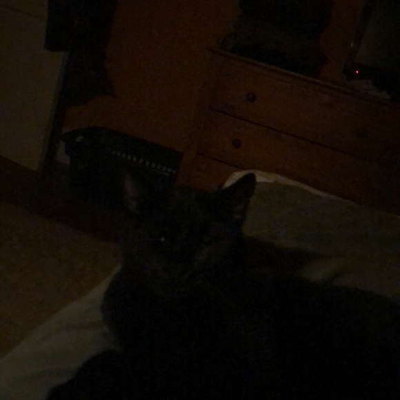 Meet your Posher, Heide - Picture 1 of 1